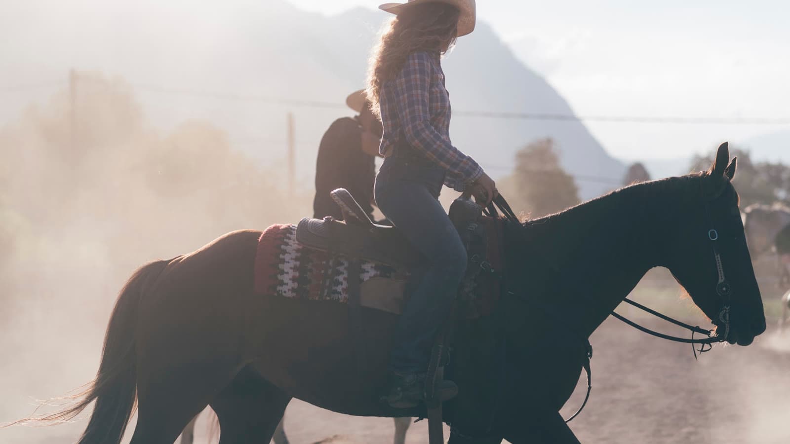 A rider with her horse at golden hour
