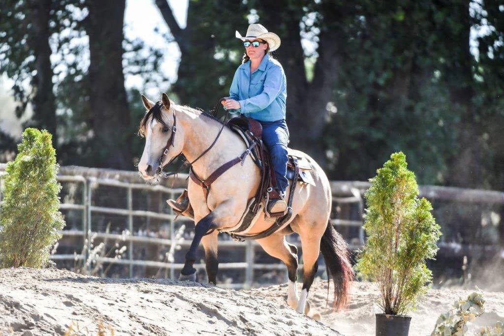 Ranch Horse Spectacular