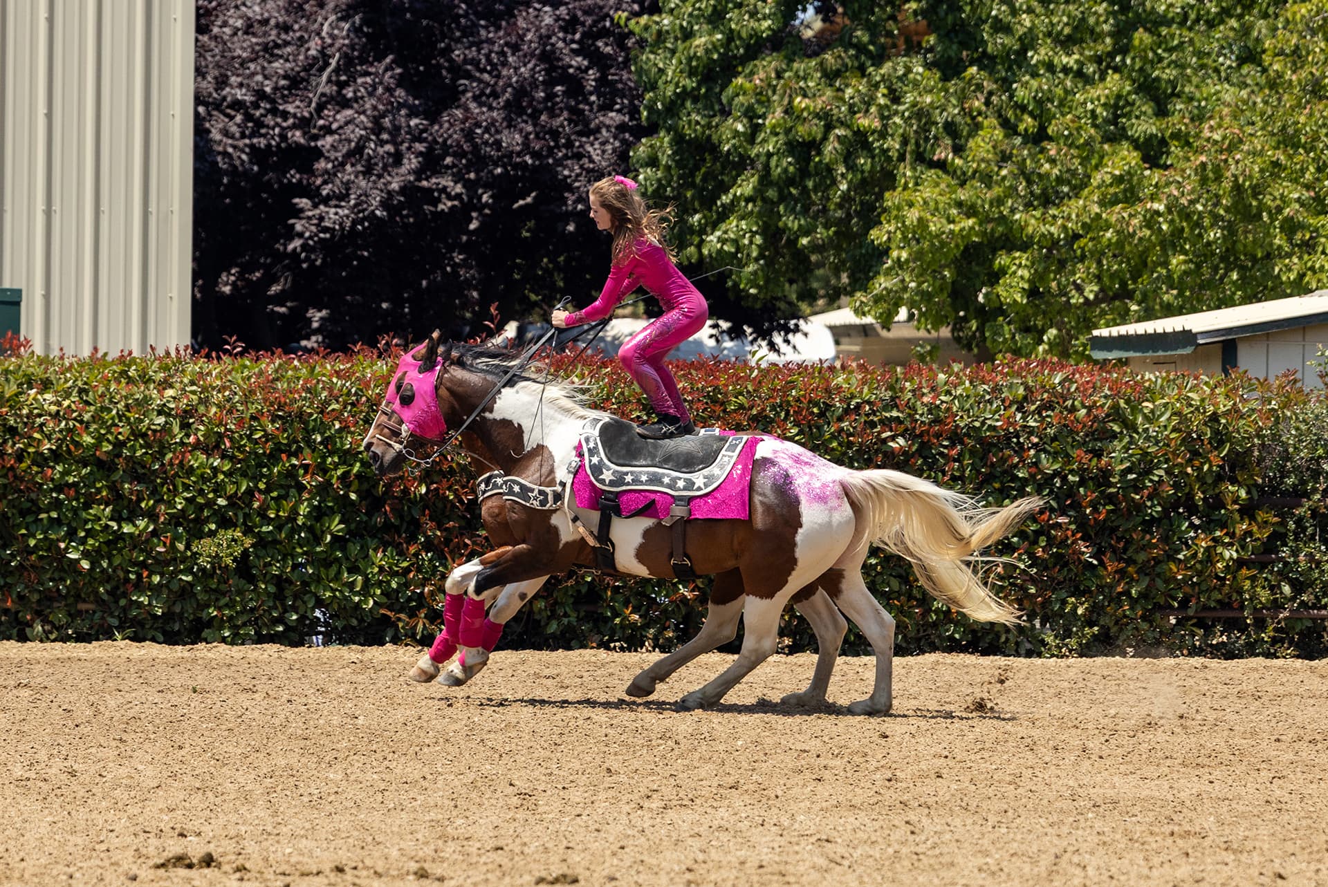Western States Horse Expo