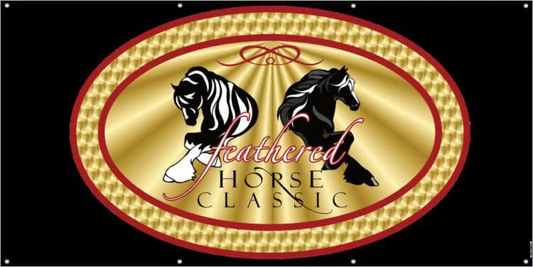 California Summer Feathered Horse Classic
