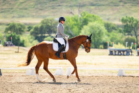 Rimrock (Rocky)