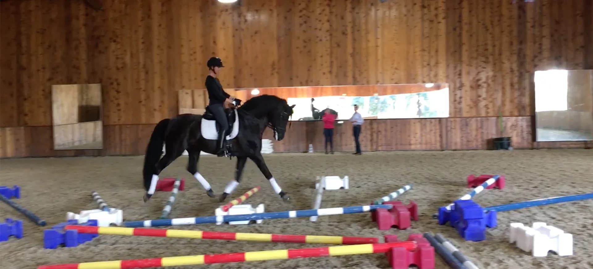 EJ Dressage - Erika Jansson